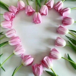 Meet your Posher, Virginia